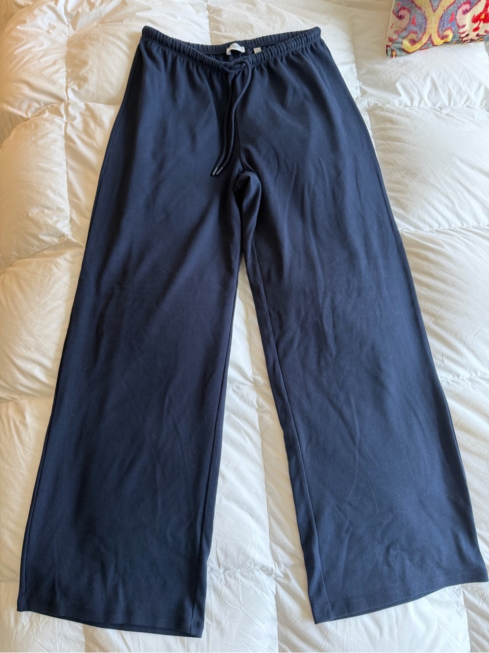 Aritzia Gilmore pant, never worn